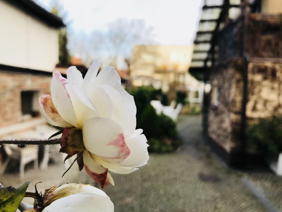 Villa Pod Orzechem W Zaniemyslu Buitenkant foto